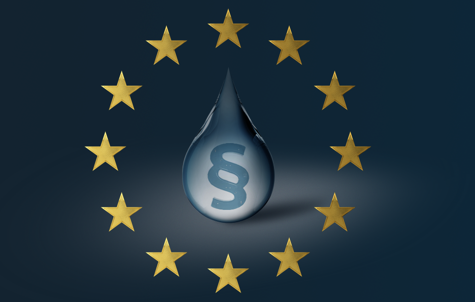 EU Water Framework Directive